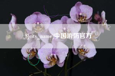 屯昌中国消防官方