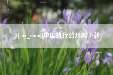屯昌中国执行公开网下载