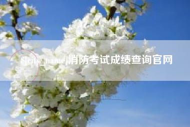 屯昌消防考试成绩查询官网
