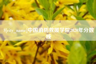 屯昌中国消防救援学院2020年分数线