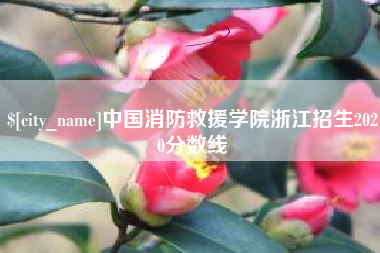 屯昌中国消防救援学院浙江招生2020分数线