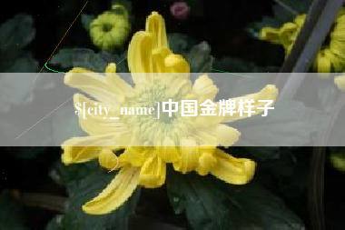 屯昌中国金牌样子