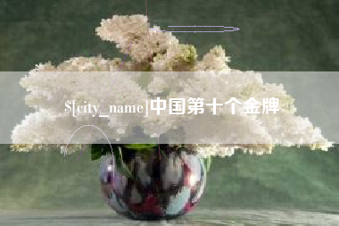 屯昌中国第十个金牌