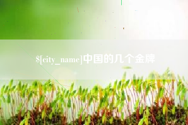 屯昌中国的几个金牌
