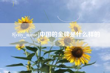 屯昌中国的金牌是什么样的