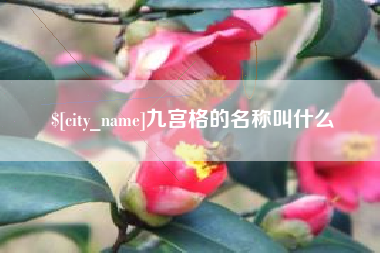 屯昌九宫格的名称叫什么
