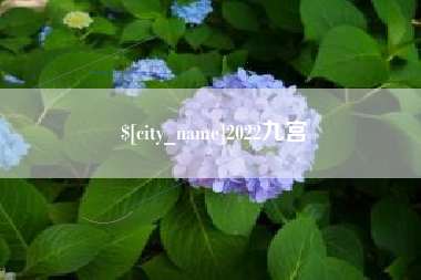 屯昌2022九宫