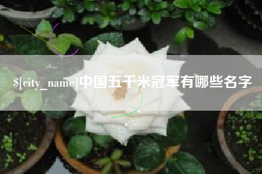 屯昌中国五千米冠军有哪些名字