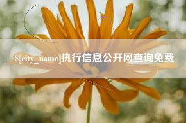 屯昌执行信息公开网查询免费