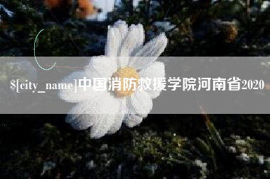 屯昌中国消防救援学院河南省2020