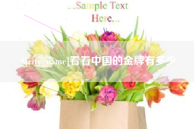 屯昌看看中国的金牌有多少